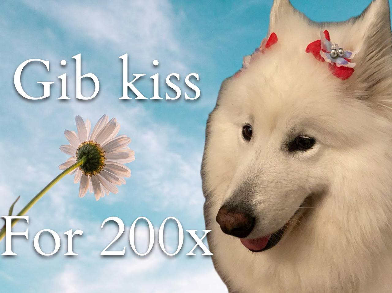 Meme 8